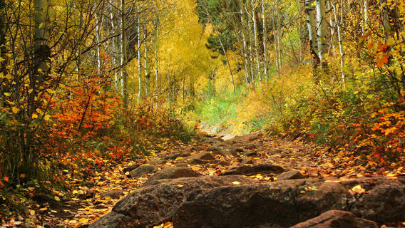Golden Gate Canyon State Park