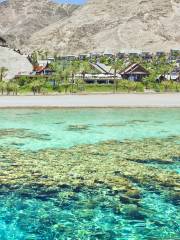 Eilat Coral Beach Nature Reserve