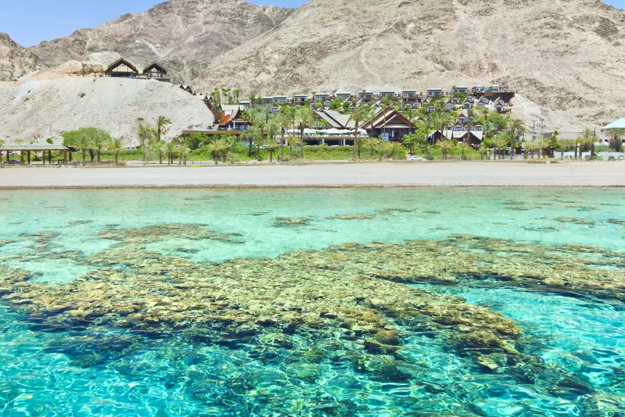 Coral Beach Nature Reserve