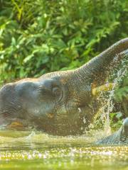 踏繽野生動物保護區