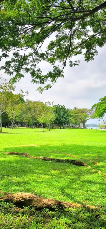 鄰近巴西立公園的酒店