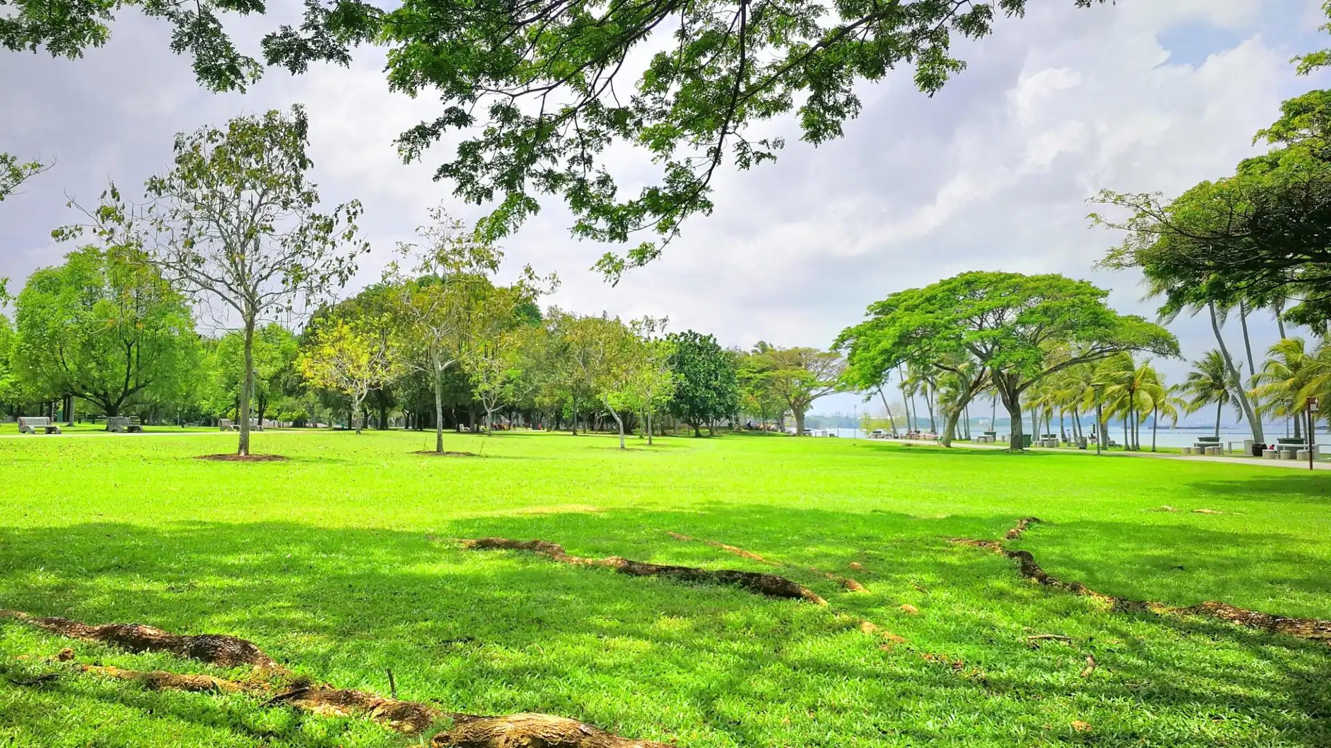 Các khách sạn gần Pasir Ris Park