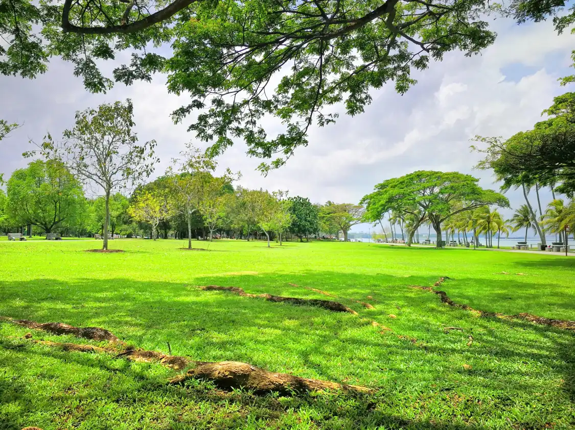 Hotels near Pasir Ris Town Park