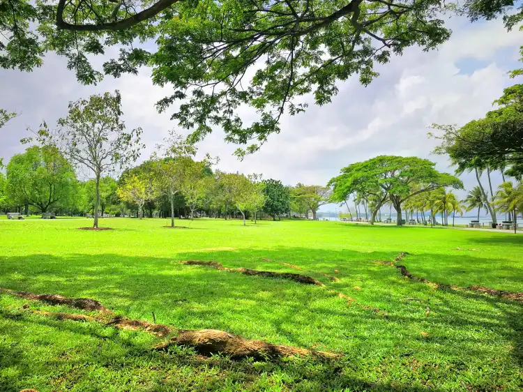 Hotel dekat Pasir Ris Park