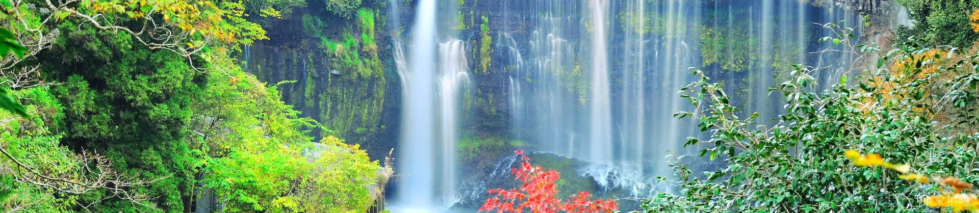 Fall Viewing Attractions