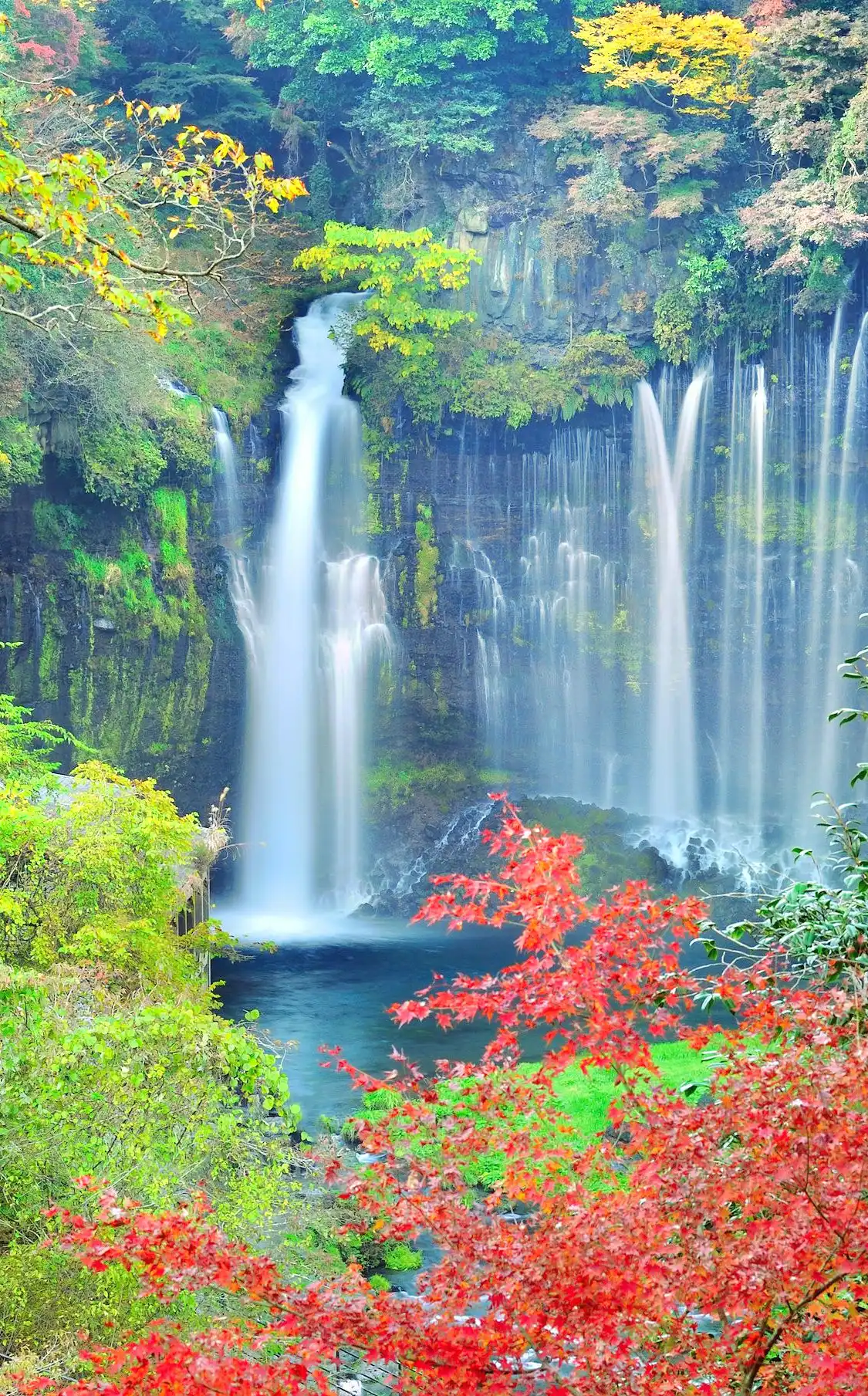 Hoteles cerca de Shiraito no Taki