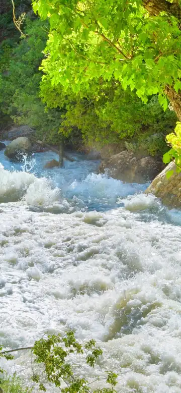 鄰近市溪峽谷的酒店