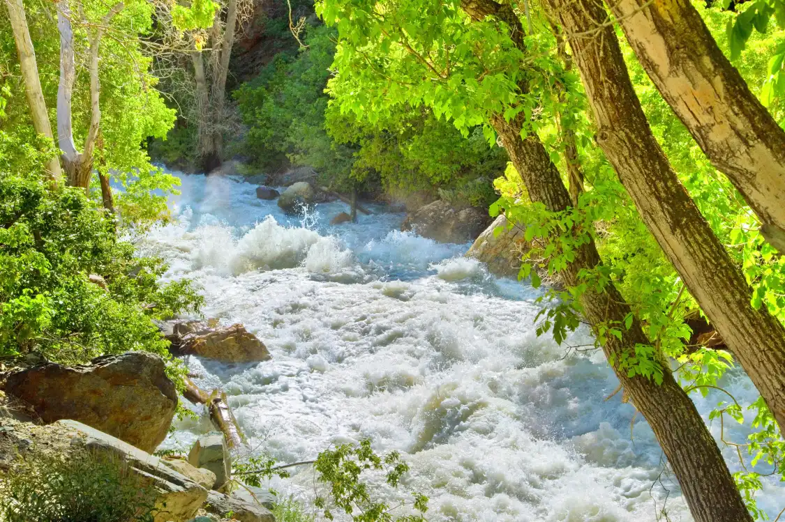Hotels near City Creek Canyon