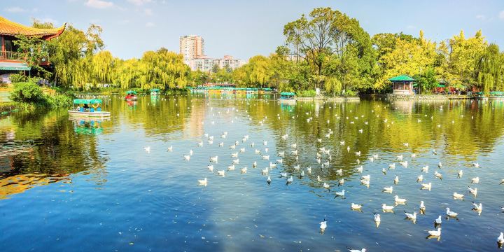 The Green Lake Park