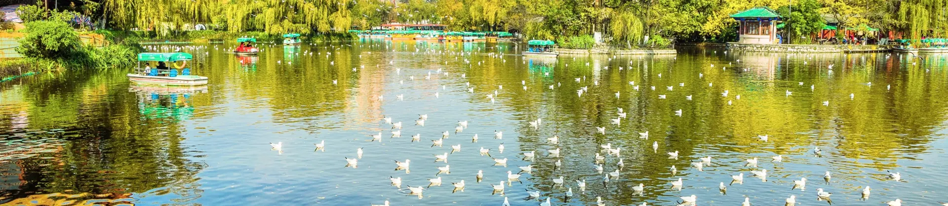 Water Fun Attractions