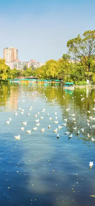 Hotels near The Green Lake Park