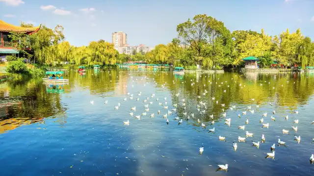 Hotels near The Green Lake Park