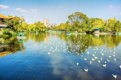 翠湖公園