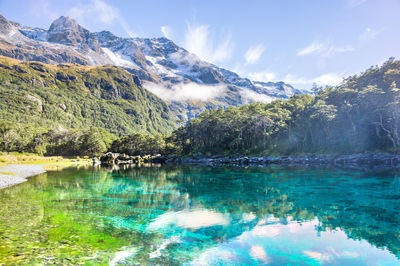 Nelson Lakes National Park