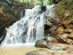 Karura Forest