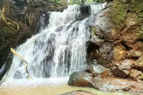 Karura Forest
