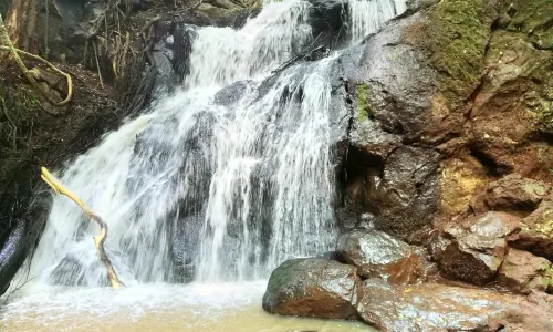 Karura Forest