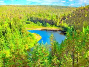 Oulanka National Park