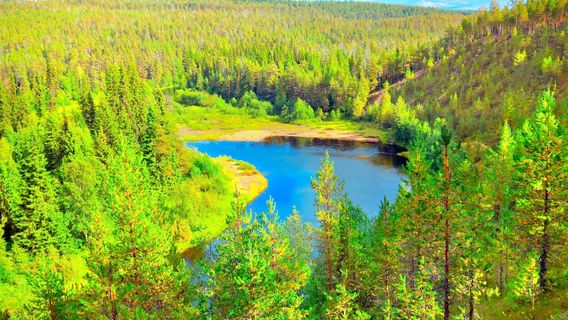 Oulanka National Park