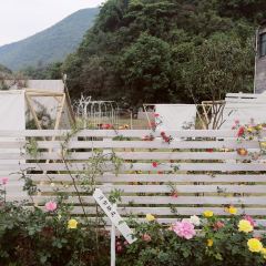 自可留花園咖啡屋張用戶圖片