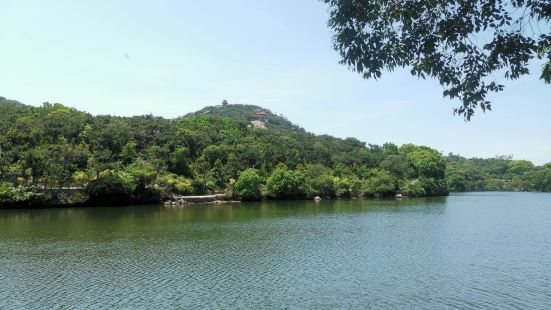 前几天去了,路上在修路,去了龟埕一定要绕湖以及看摩崖石刻登山