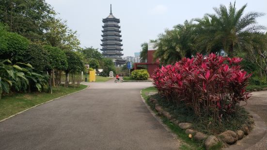 五象湖公園位於南寧的五象新區，面積相當大，中間有個五象湖是公