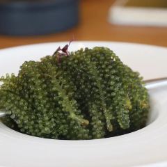 WUway natural food User Photo