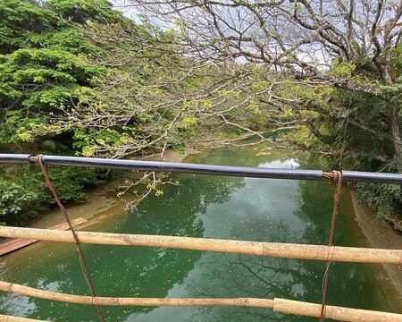 Bamboo Hanging Bridge