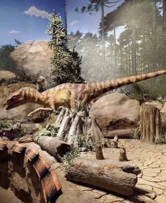 Creation Experience Museum