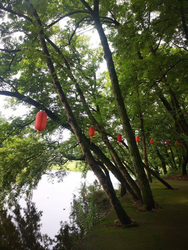 저장 서부 대초원 고명주 문화촌