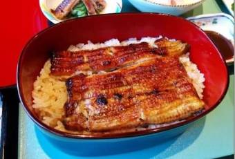 Kyogoku Kaneyo user photo