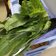 香八方醉鹅 User Photo