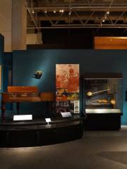 新西蘭蒂帕帕國家博物館