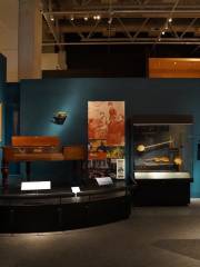 Museo della Nuova Zelanda (Te Papa Tongarewa)