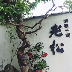Oimatsu Arashiyama User Photo