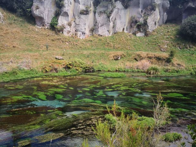 Blue Springs