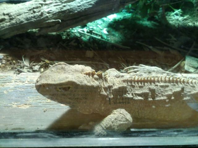 Rainbow Springs Nature Park