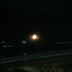 Jimbaran Bay Seafood User Photo