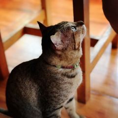 Song Pee Nong 2 User Photo