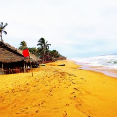 Seafood Cove User Photo