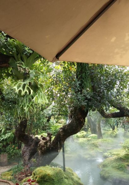 Chom Cafe and Restaurant