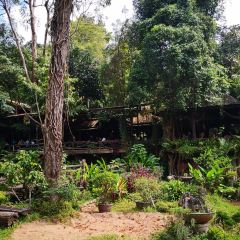 Thranthong Lodge Restaruant User Photo
