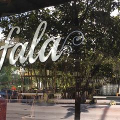 Bufala Kerrisdale User Photo