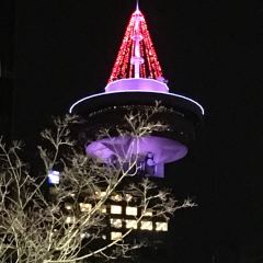 Top of Vancouver Revolving Restaurant User Photo