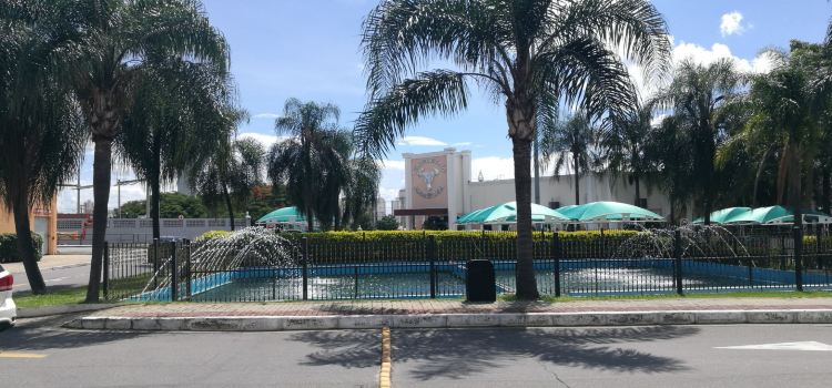 Churrascaria Nova Brescia - Vale Sul Shopping