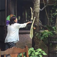 Thranthong Lodge Restaruant User Photo