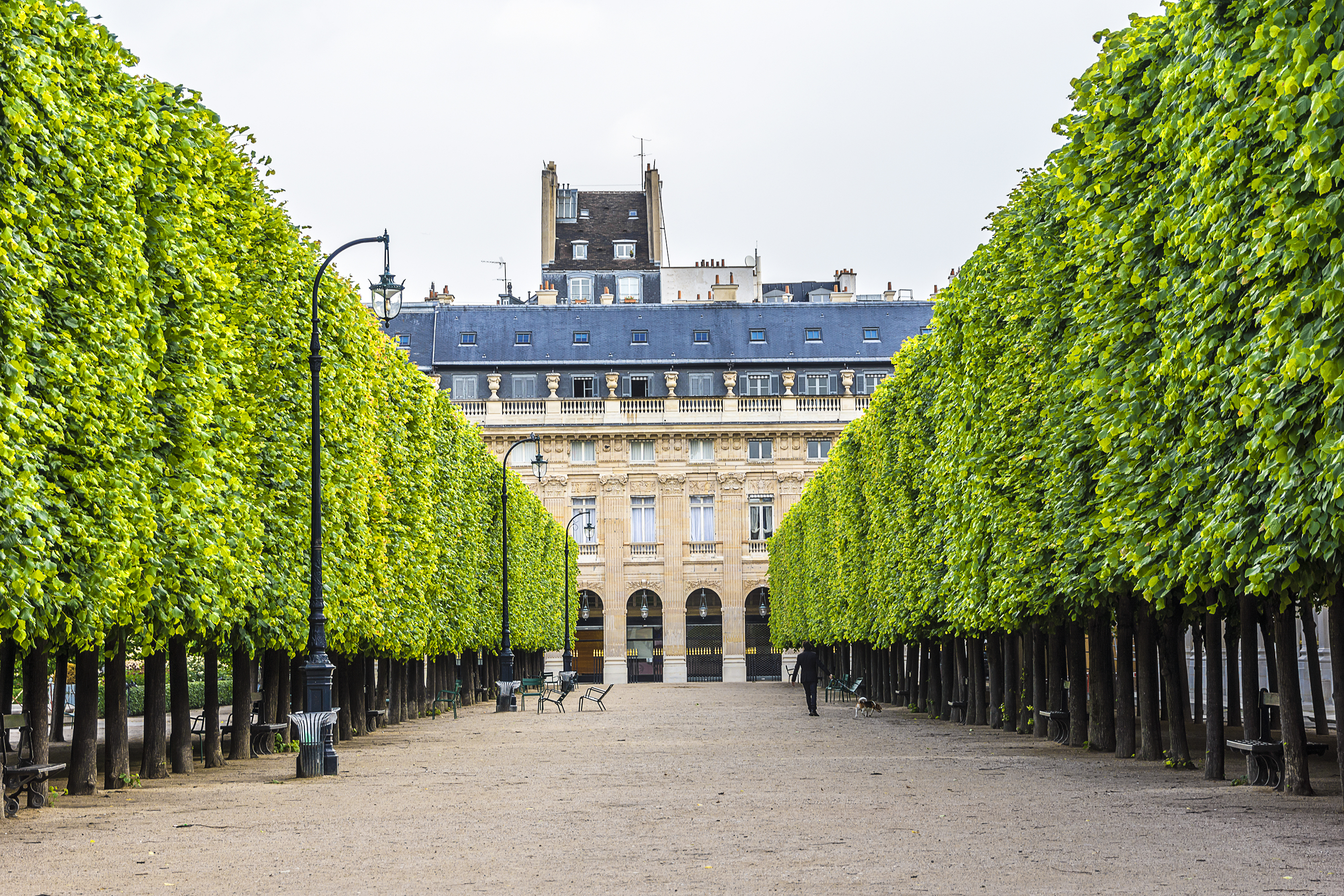 The Palais-Royal (French pronunciation: ​[pa.lɛ ʁwa.jal]), o by