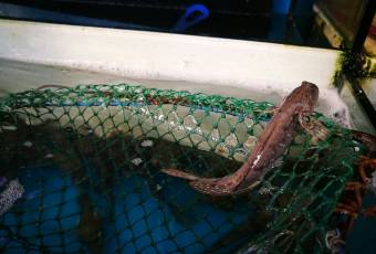 沈家門海鮮夜排檔39-40號用戶圖片