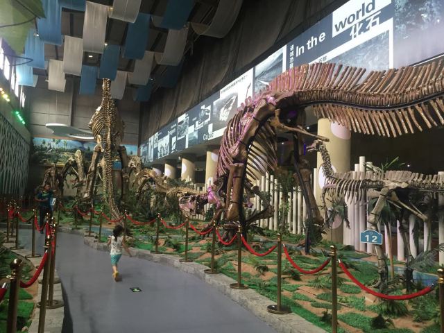 백악기 공룡 지질공원