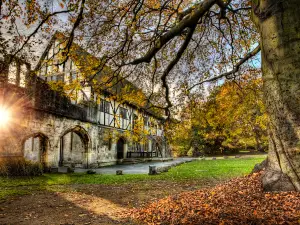 Museum Gardens